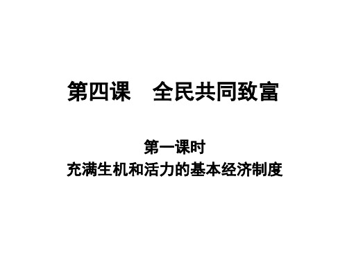 全民共同致富1课时课件