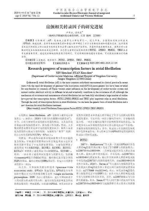 房颤相关转录因子的研究进展