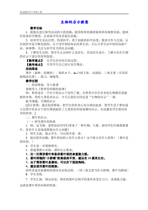 最新科学生物的启示优质课教案教学实录