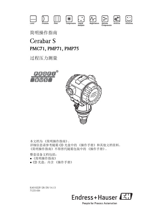 E+H 压力变送说明