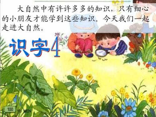 苏教版一上语文《识字4》