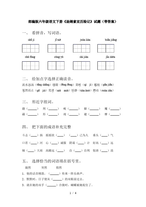 部编版六年级语文下册《汤姆索亚历险记》试题(带答案)