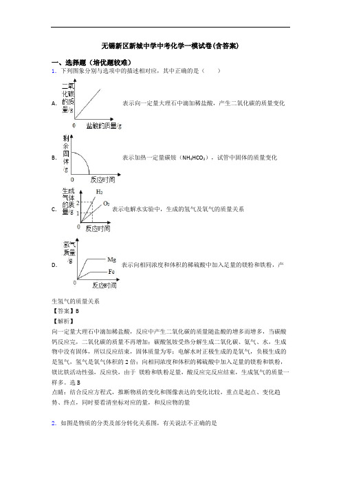 无锡新区新城中学中考化学一模试卷(含答案)