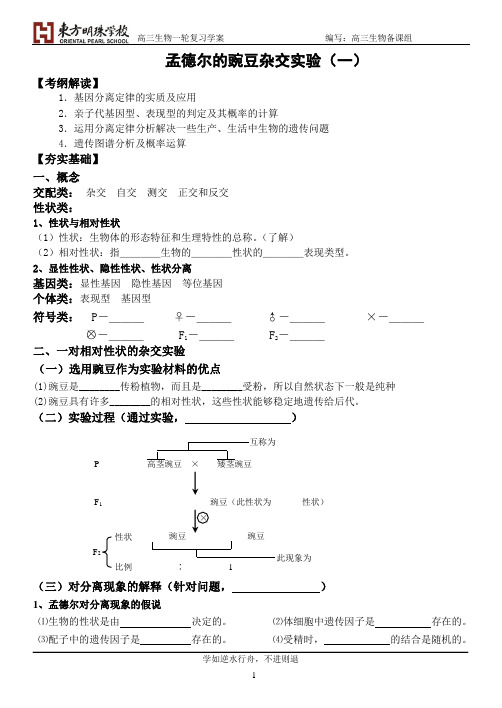 孟德尔的豌豆杂交实验(一)