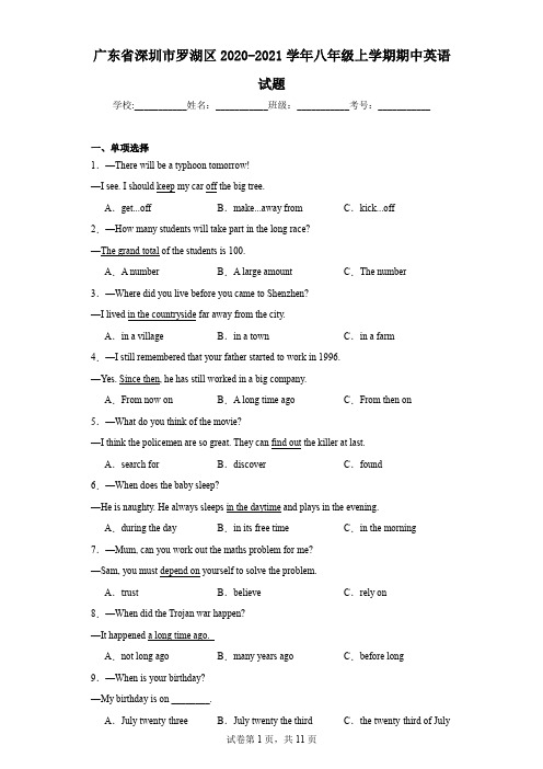 广东省深圳市罗湖区2020-2021学年八年级上学期期中英语试题