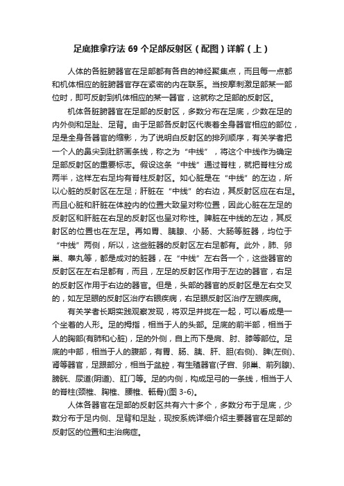 足底推拿疗法69个足部反射区（配图）详解（上）