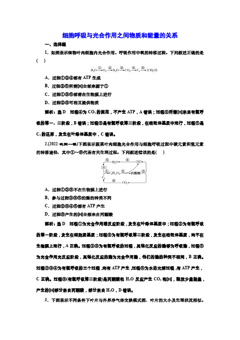 高三总复习生物检测题 细胞呼吸与光合作用之间物质和能量的关系