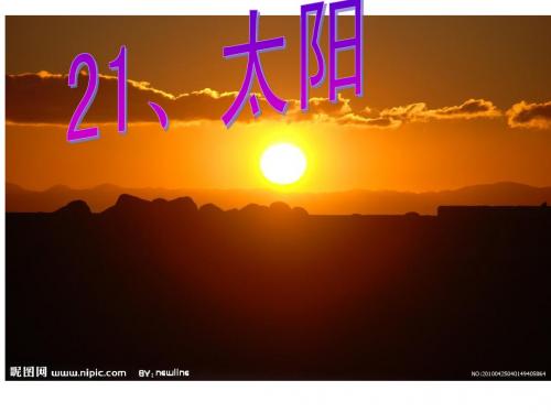 21、《太阳》PPt