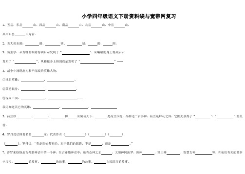 小学四年级语文下册资料袋与宽带网复习