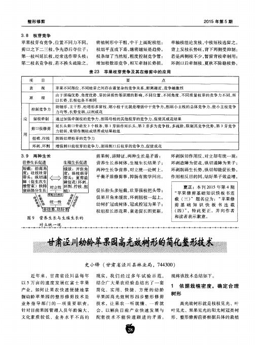 甘肃泾川幼龄苹果园高光效树形的简化整形技术