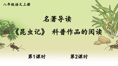 部编版八年级语文上册名著导读《昆虫记》优质课件