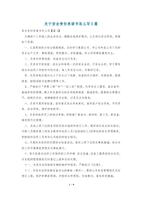 关于安全责任承诺书怎么写5篇