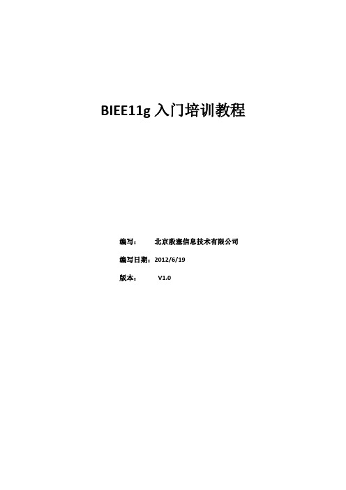 BIEE11g入门培训(详细资料)