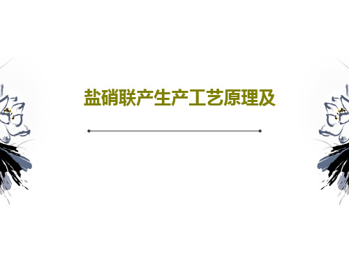 盐硝联产生产工艺原理及共20页文档