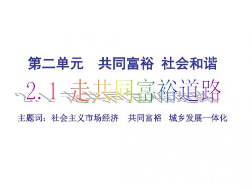 2.1走共同富裕道路1-2课时(新)