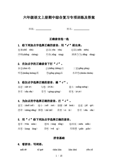 六年级语文上册期中综合复习专项训练及答案