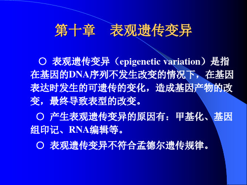 分子遗传学第10章