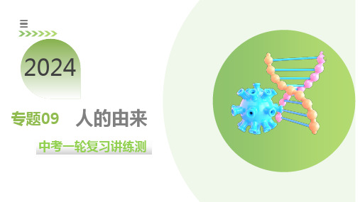 专题09人的由来(课件)中考生物一轮复习