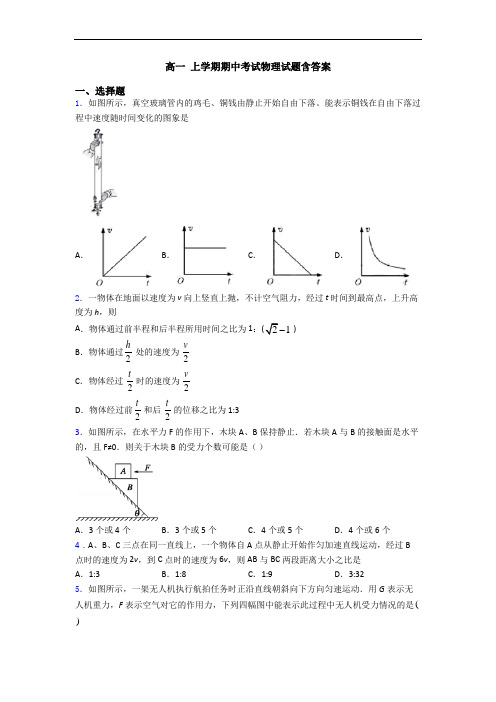 高一 上学期期中考试物理试题含答案