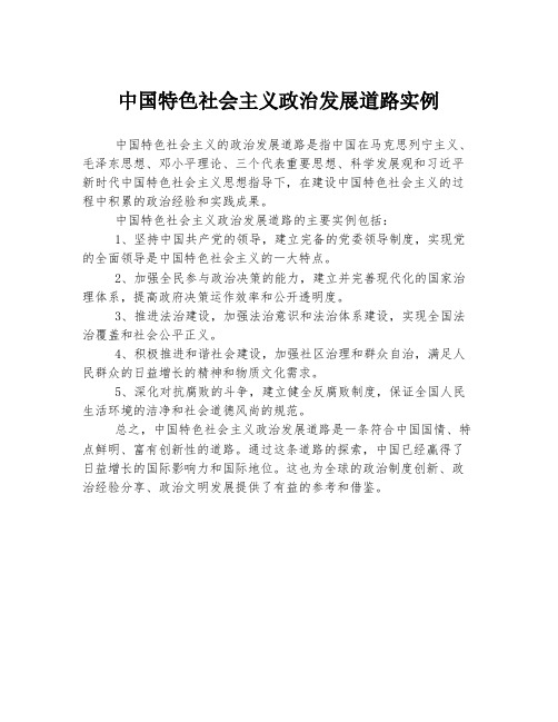 中国特色社会主义政治发展道路实例