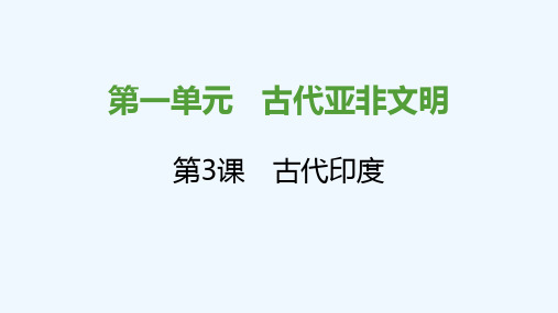 2021秋九年级历史上册第一单元古代亚非文明第3课古代尤课件新人教版