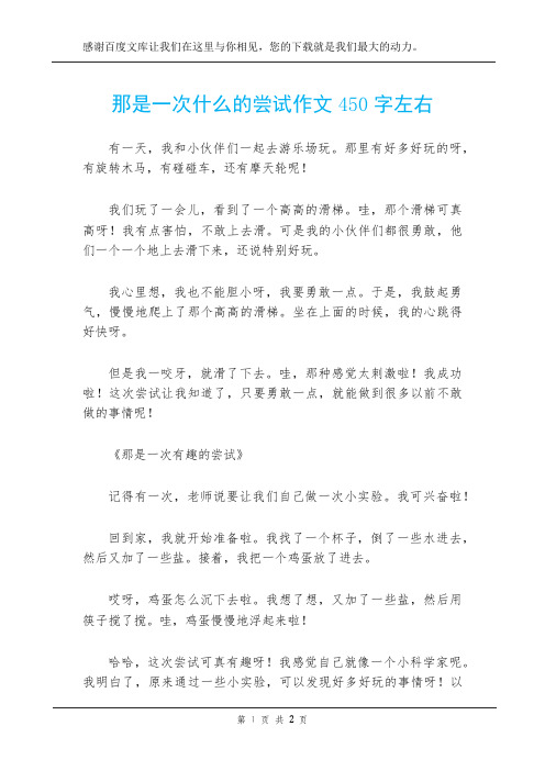 那是一次什么的尝试作文450字左右