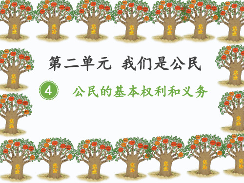 部编版小学六年级上册道德与法治《公民的基本权利》教学课件