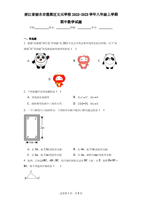 浙江省丽水市莲都区文元学校2022-2023学年八年级上学期期中数学试题