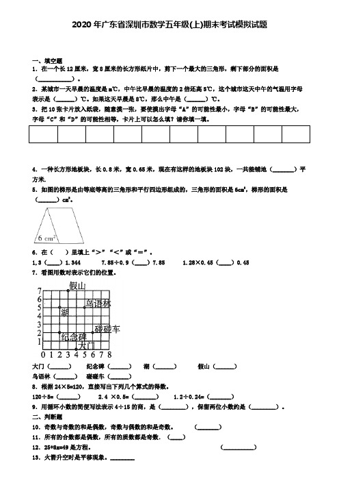 2020年广东省深圳市数学五年级(上)期末考试模拟试题