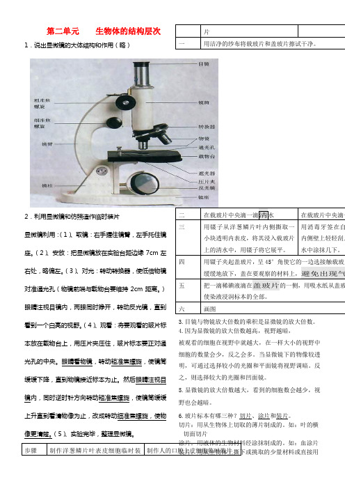 中考生物温习第二单元生物体的结构层次知识点小结