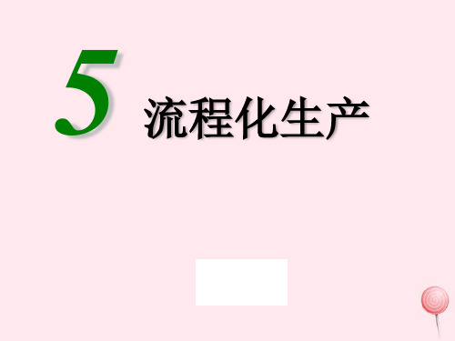 精益生产之流程化生产课件