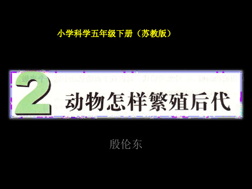 3-2  动物怎样繁殖后代