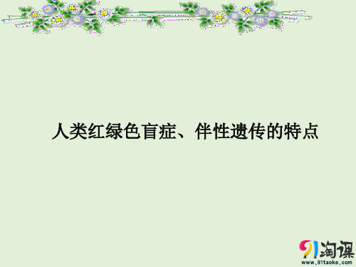 课件14：2.3.1人类红绿色盲症、伴性遗传的特点