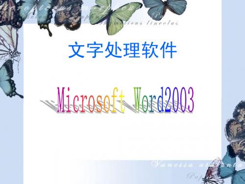 Word2003文字处理