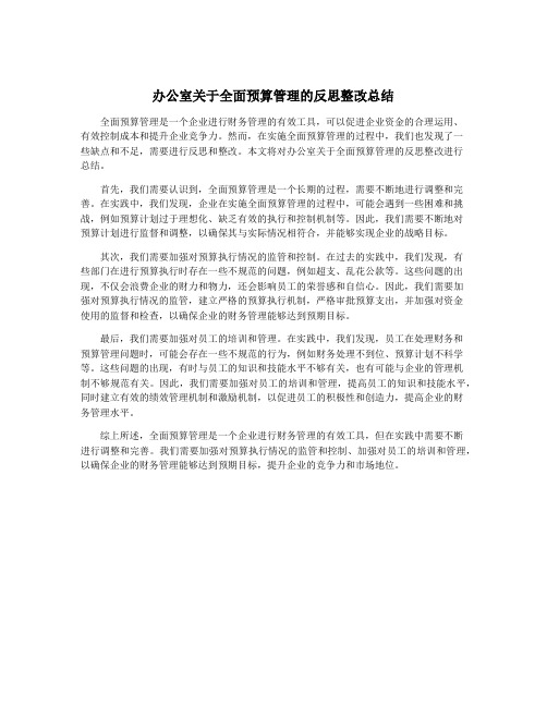 办公室关于全面预算管理的反思整改总结