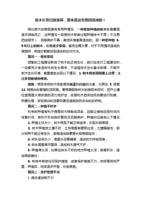 苗木长势日渐衰弱，原来是这些原因造成的！