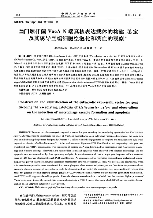 幽门螺杆菌VacA N端真核表达载体的构建、鉴定及其诱导巨噬细胞空泡化和凋亡的观察