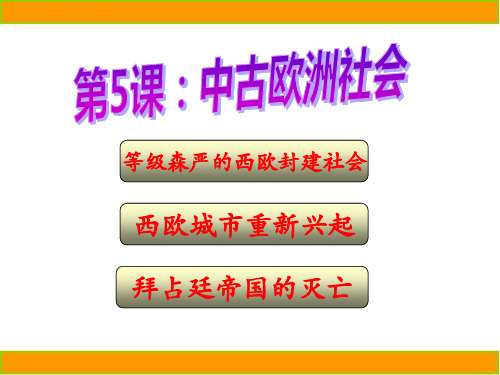 《中古欧洲社会》亚洲和欧洲的封建社会课件ppt文档