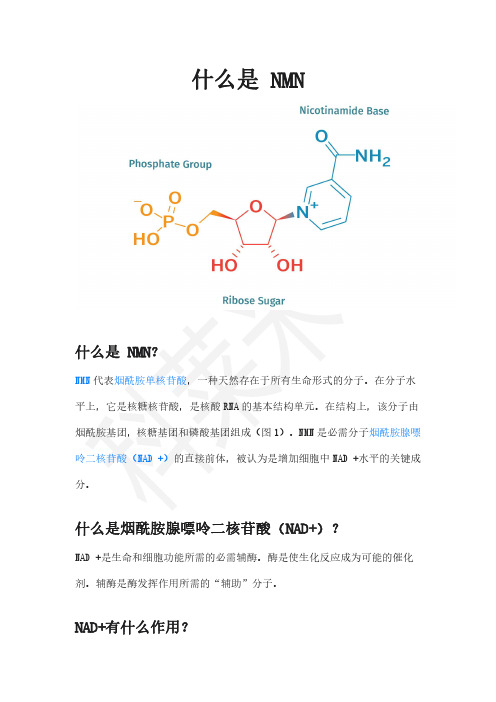 什么是NMN