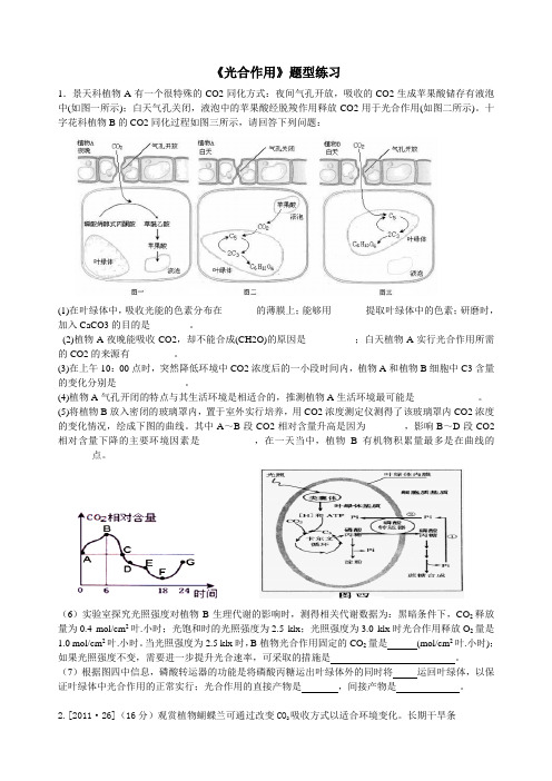 光合作用题型练习