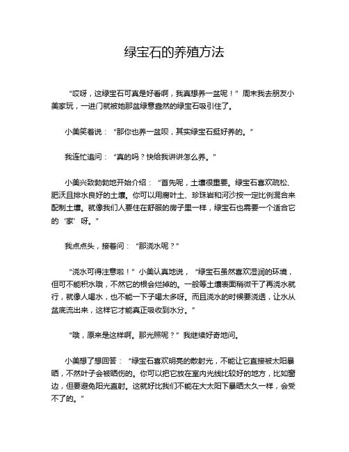 绿宝石的养殖方法