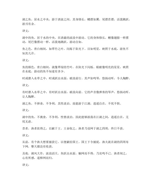 湖之鱼文言文逐字翻译