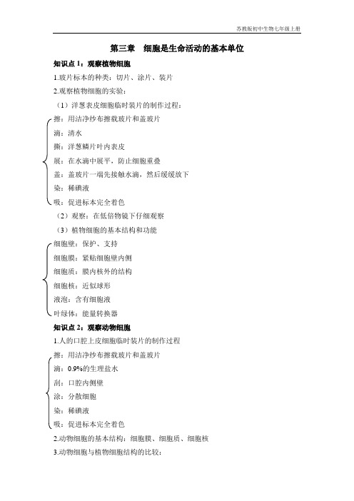 苏教版初中生物七年级《细胞是生命活动的基本单位》复习大纲