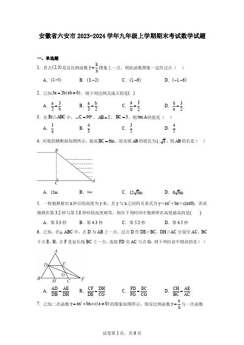 安徽省六安市2023-2024学年九年级上学期期末考试数学试题