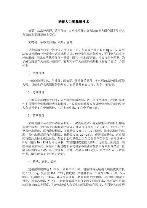 早春大白菜栽培技术