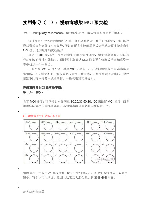 实用指导一：慢病毒感染MOI预实验