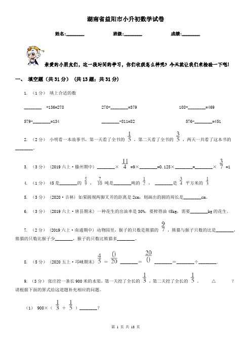 湖南省益阳市小升初 数学试卷