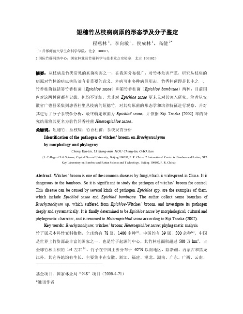 短穗竹丛枝病病原的形态学及分子系统学鉴定-ICBR