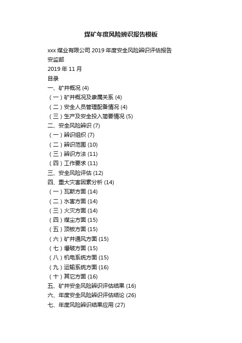 煤矿年度风险辨识报告模板