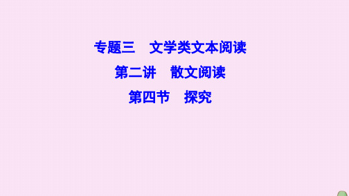 (新课标)2020高考语文二轮总复习第一部分难点突破篇专题三文学类文本阅读1.3.2.4探究课件